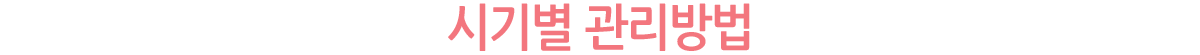 ñ⺰ 